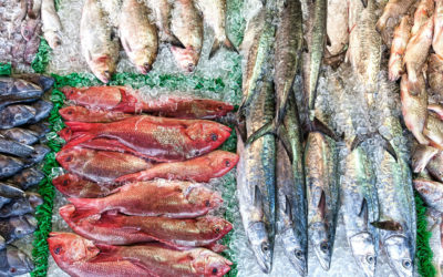 Fish Fraud: This One Simple Tip Can Save You Money and Major Bathroom Woes