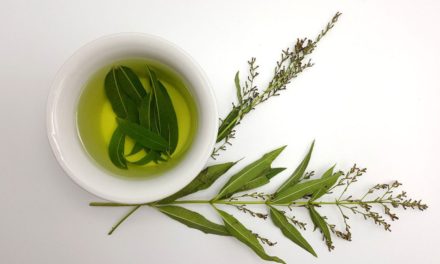 Lemon Verbena Tea: The Forgotten Wonder Leaves