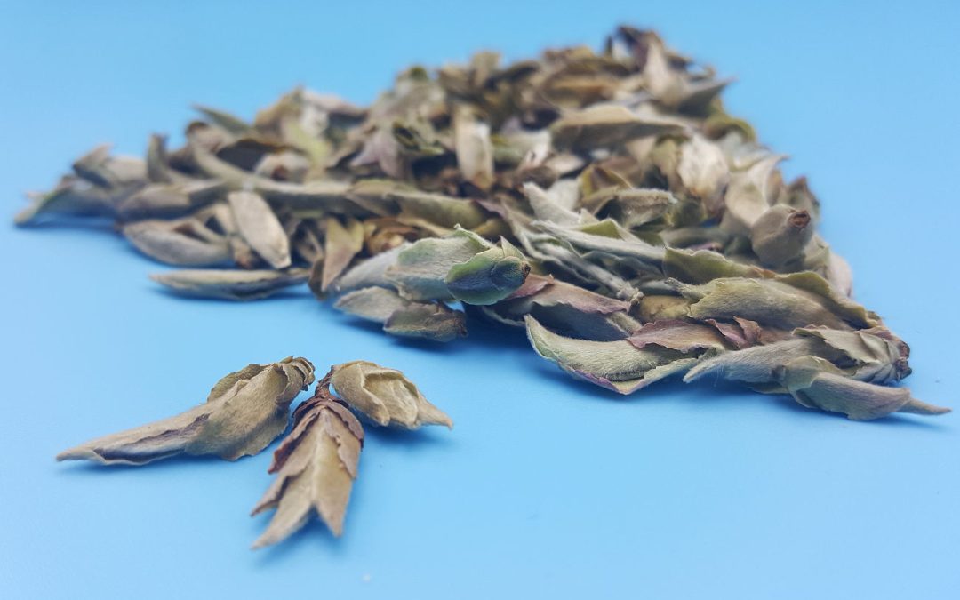 Nan Mei White Tea Review: Like Smoke Meets Brimstone